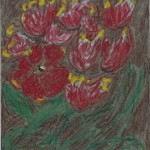 Red and Yellow Tulips